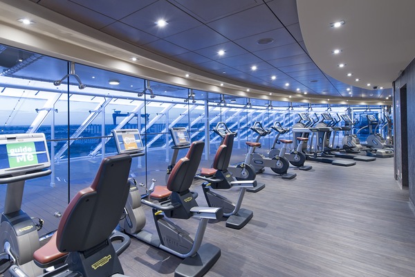 Imagem MSC Preziosa 6