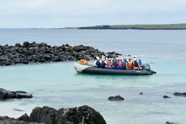 Galápagos Tartaruga