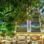 Conifer Boutique Hotel