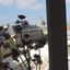 Hotel Prince De Conti
