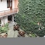 Gołębia 8 Residence