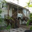 Geckos Backpackers Cairns - Hostel